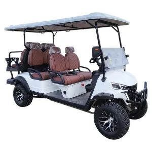 6 Seater Classic Electric Golf Cart 48V 4kW Lead acid Maintenance free Battery Steel Chassis Smart Charger Road CE Eec Certified