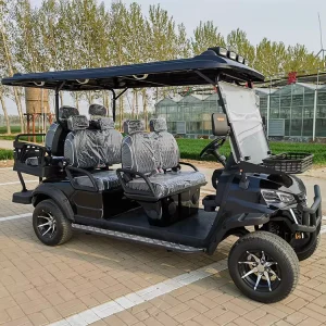 6 Seater Electric Golf Cart 60V Battery Zero Emission Eco Friendly Scenic & Course Utility Cart Free Worldwide Shipping