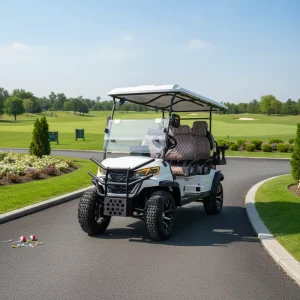 6 Seater Electric Golf Cart Club Wiper Electric Golf Trolley with Light Bar