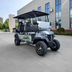 6-Seater Electric Golf Cart Durable Steel Frame 100KM Range Easy to Operate Custom Logo and Color