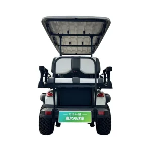 6 Seater Electric Golf Cart Luxury 48V 4kw Power Motor Lift Certified CE Approved Buggy