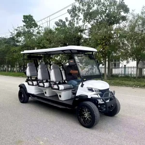 6 Seater Electric Golf Cart Off Road Golf Buggy with Rear Cargo Rack