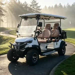 6 Seater Electric Golf Cart with 72V Lithium Battery 5kW Motor DOT Certified for Golf Courses and Club