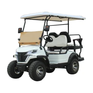 6 Seater Electric Golf Cart with High Stability Quality Product