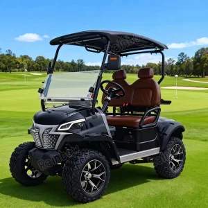6 Seater Electric Off Road Golf Cart 48V Lithium Battery 70-90km 30-50km/h Street Legal Campsite Use Dot