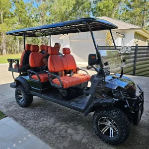 6 Seater Gasoline Golf Cart With High Performance and Efficient Fuel Consumption Accept Customized