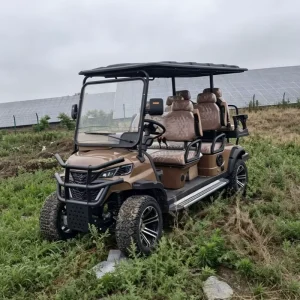 6 Seater High Quality Electric Golf Carts for Sale Beautiful Color Golf Carts for Sale