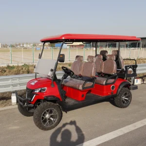 6 Seater Off Road Electric Golf Cart Color Speaker 80km Range Hydraulic Brakes AC Motor for Amusement Resort