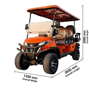 6 Seater Off road Vacuum Tire 60V Battery Electric Golf Cart with Audio 35KM H Max Speed
