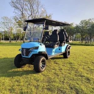6 Seats Golf Cart New Energy Lithium Battery Custom On course Mobility
