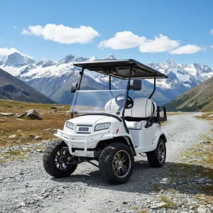 60V Electric Golf Cart Factory Direct Supply Street Legal Golf Cart Suitable for Golf Courses and Resorts