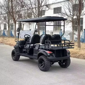 60V Electric Off Road Golf Cart with 4 Seats for Adults