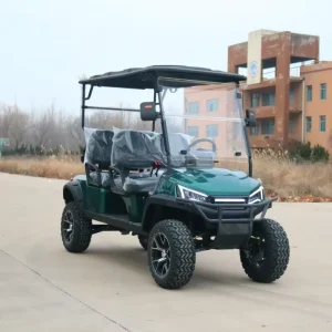 60V Lithium Battery Golf Buggy 4 6 Seater Electric Beach Golf Cart Car Display Screen 4 Wheel Electric Golf Car Buggy
