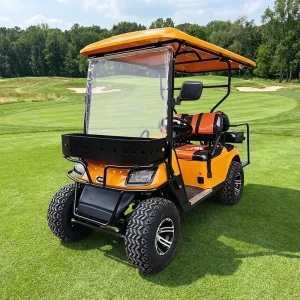 72V Aluminium Golf Cart Electric Sightseeing Bus Long Range 1 2 Seats 4 Wheels Car with Roof CE Certified 30 90Km h