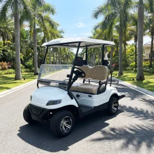 72V CE Certified Lithium Battery Electric Golf Cart White 2 Seater Motor Vehicle Golf Buggy Cart