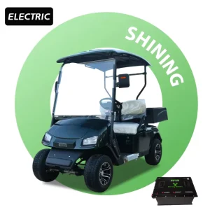 72V Electric 2 Seater Golf Cart with Cargo