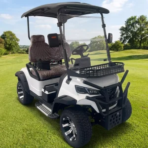 72V Electric Off Road Golf Cart Sightseeing Car 2 Seater Club CE Certified Aluminium Lithium Lead Acid Battery Disc Brakes 90km