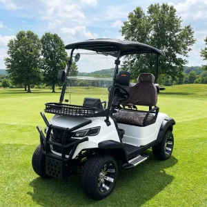 72V Electric Off Road Golf Cart with 2 Seater CE Certified Lithium Lead Acid Battery 90km Range Front Disc Brakes