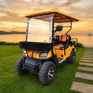 72V Golf Cart Electric Sightseeing Bus Long Range 2+2 Seats 4 Wheels Car with Roof CE Certified 30 90Km h