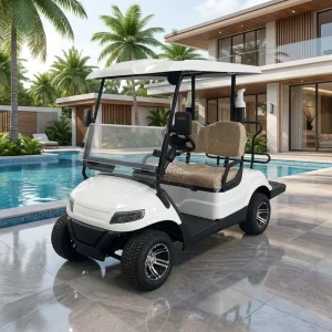 72V Lithium Battery Electric Golf Cart White 2 Seater CE Certified Golf Buggy with Accessories