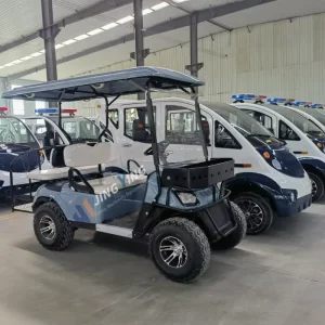 72V Lithium Battery Golf Cart Accessories Golf Cart Bluetooth Speaker Golf Cart Factory Direct Sale