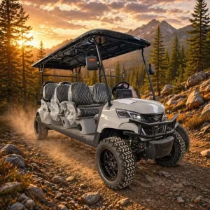 8 Seater Electric Golf Cart 4×4 Off-Road Lifted Utility Vehicle with LED Knobby Tires Independent Suspension for Resort Hunting