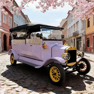 8 Seater Electric Golf Cart Vintage Model T Electric Cars Sightseeing Bus with CE