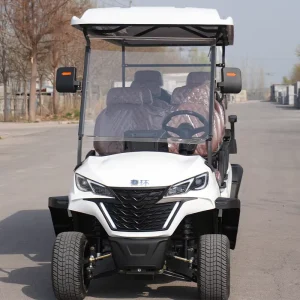 8 Seater Electric Golf Cart with Remote Control CE Certified Lead Acid Battery 72V 70-90km Range Sightseeing Car