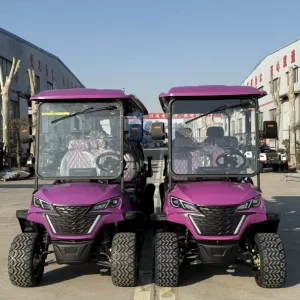 8 Seater with Cargo Box Golf Cart Golf Utility Cart Electric Resort Style Buggy Classic Vintage Golf Cart Club Off Road Jeep Car