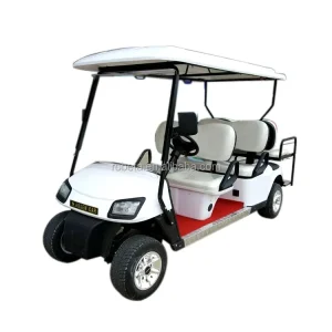 Adult Popular Mini Electric Golf Cart for Sale