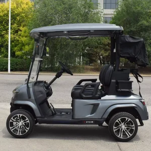 Advanced Technology Powerful Efficient Versatile Reliable Sturdy Style Luxury Electric Golf Cart