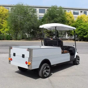 Airport Electric Golf Cart