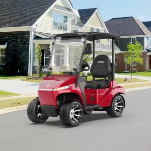 All in One Smart Golf Cart Intelligent Steering Touch Screen Media Single Seater Design Golf Cart