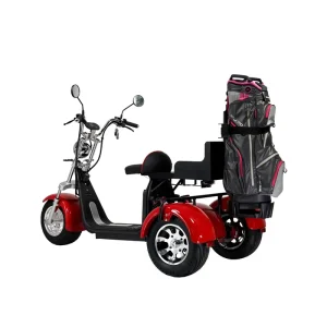 Australia Market 2000W GPS Foldable Waterproof Electric Tricycle Golf Cart 3 Wheel Lithium Battery Scooter