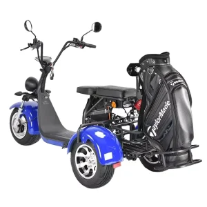 Australia Market Golf Use Golf Trolley Golf Cart Tricycles Aluminum Wheel Fat Tire Golf Cart Citycoco Trike Electric Scooter