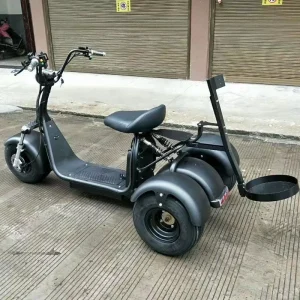 Australia Market Golf Use Golf Trolley Golf Cart Tricycles Three Wheels Electric Tricycle Scooter Electric Citycoco