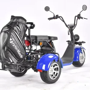 Australia Market Intelligent GPS Golf Cart Tricycle Three-Wheel Electric Scooter Waterproof Foldable 50km/h