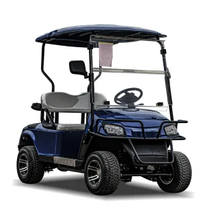 Beautiful Design Golf Cart Four Person Golf Cart