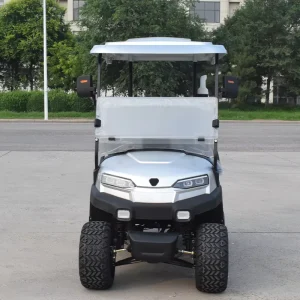 Best selling two aluminum alloy electric golf carts