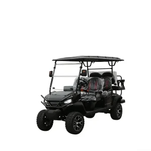 Black 6 seater Electric Golf Cart with 5KW AC Motor and Customized Refrigerator and Speaker