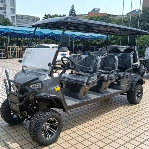 Borcart Factory Professional Custom Brand Logo Color Energy Saving Battery Powered Electric 8 Seater Golf Cart for Golf Course
