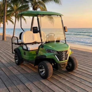 Budget Friendly Energy Saving Reliable 2 Seater Golf Cart from China