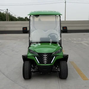 CE Approved Disc Brake 2 Seater Electric Golf Cart for Resort