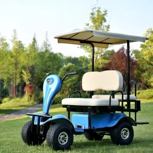 CE Approved Electric 2 Seater Mini Golf Cart for Personal Use