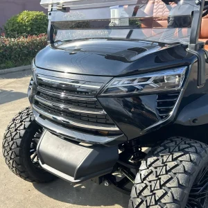 CE Approved Electric Fashion Golf Cart 4 wheel Drive 3 4 Seater 48V 5KW DOT Certified Sightseeing 30 50Km h 90km