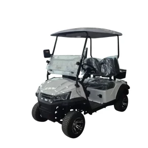 CE Approved Electric Golf Cart China Manufacture with New Design