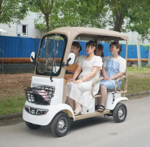 CE Approved Golf Carts 4 and 3 Seat High Speed Golf Cart Mobility for Sale