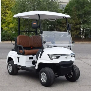 CE Approved Street Legal 48V Lithium Battery Off Road 2 Seater High Speed Long Range Utility Electric Golf Cart