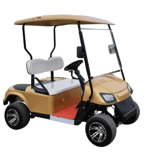 CE Certificated High Quality 2 Seater Off Road Electric Golf Carts Strong Lithium Battery