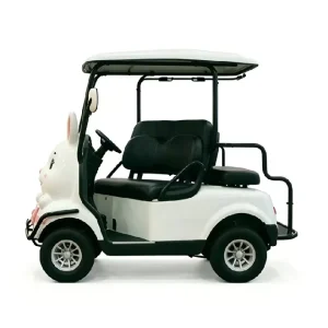 CE Certified 1200W 60V Cartoon Electric Golf Cart for Family Leisure & Recreation